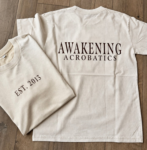 AWAKENING SAND STONEWASHED T-SHIRT