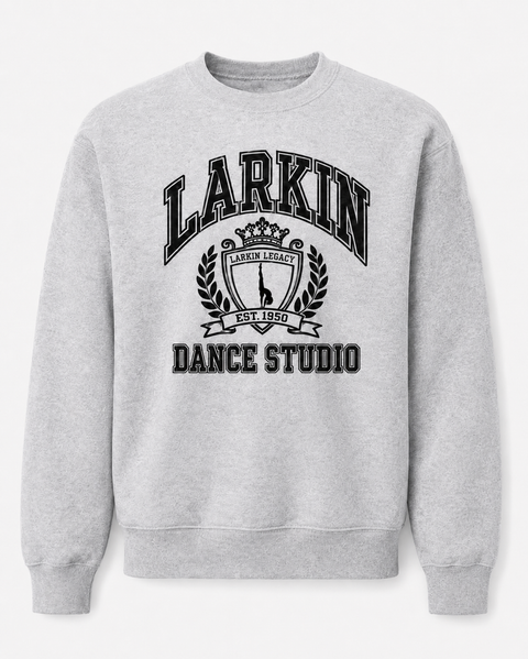 UNIVERSITY STYLE CUSTOMIZED SWEATSHIRT