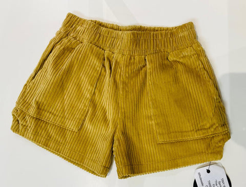 THE DUNES DAD SHORTS