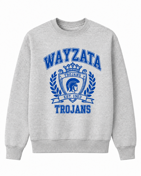 UNIVERSITY STYLE CUSTOMIZED SWEATSHIRT